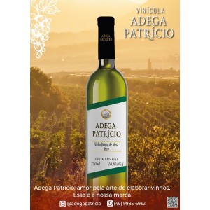 Vinho Tinto Patricio Seco 750ML